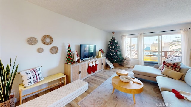 living room with light hardwood / wood-style floors and a textured ceiling