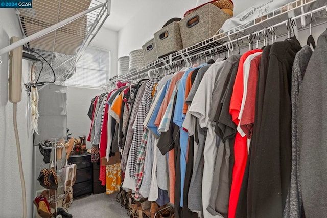 walk in closet with carpet floors