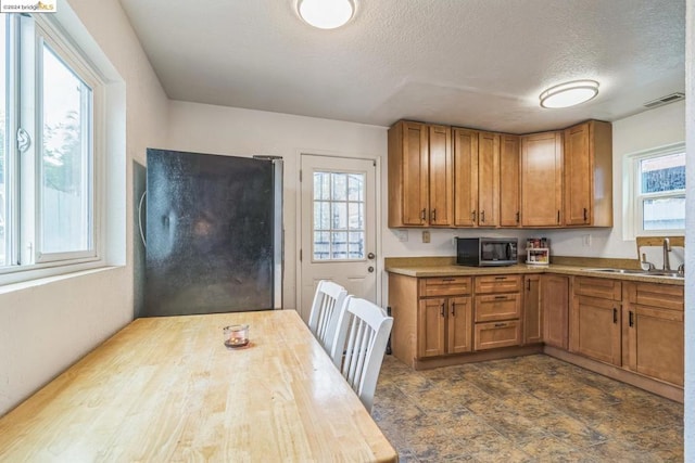 kitchen with plenty of natural light, sink, and a textured ceiling