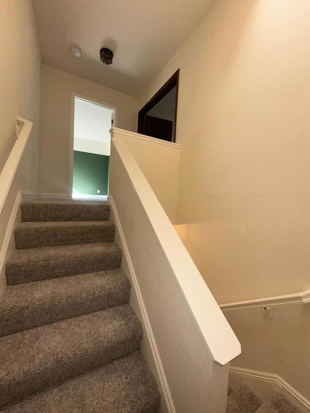 stairway with carpet floors