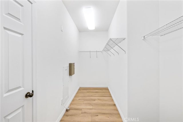 spacious closet with light wood-type flooring