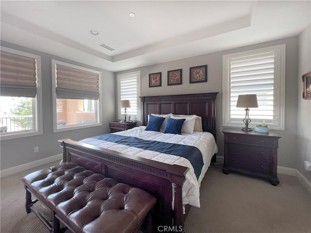 carpeted bedroom with a tray ceiling