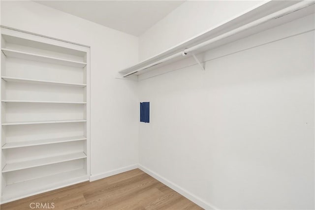 spacious closet featuring hardwood / wood-style flooring