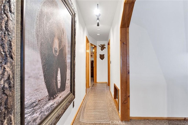 corridor with light colored carpet