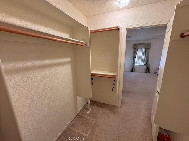 spacious closet with light colored carpet