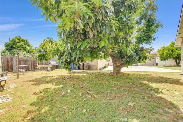 view of yard with a patio area