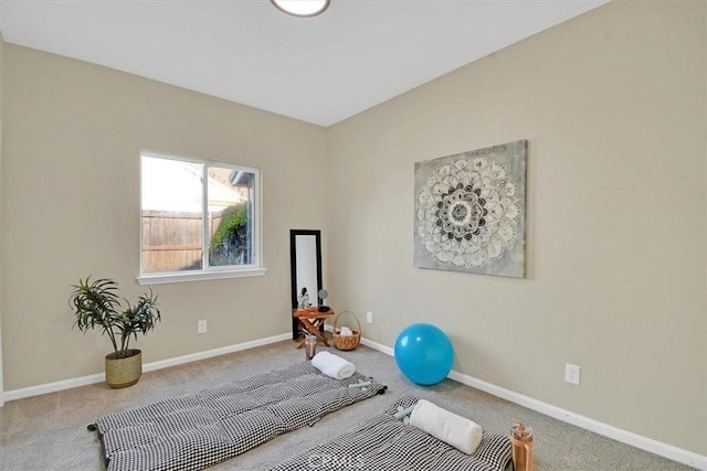 workout room featuring carpet floors