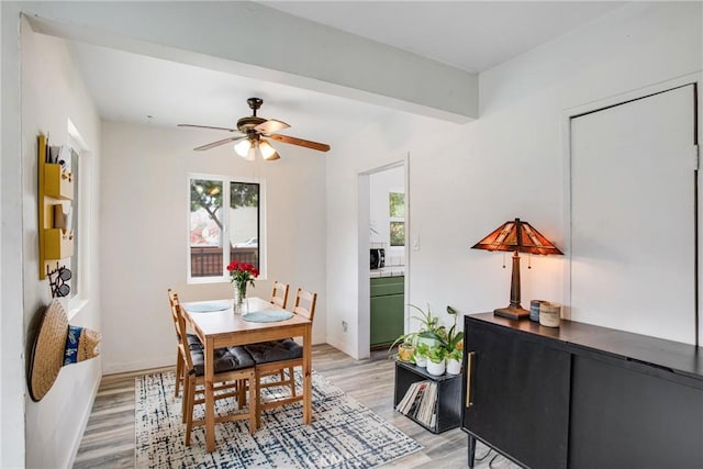 dining room featuring ceiling fan and light hardwood / wood-style floors