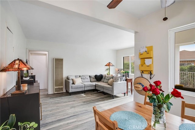 living room with ceiling fan and light wood-type flooring