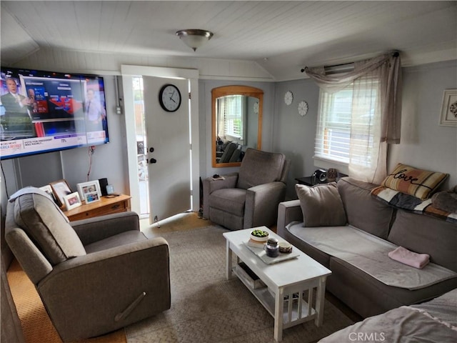 living room featuring lofted ceiling