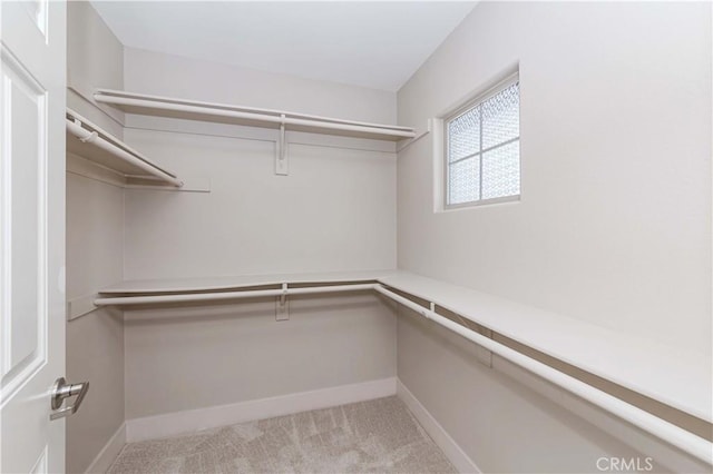 walk in closet with light colored carpet