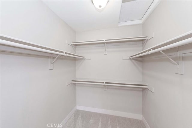 walk in closet featuring light carpet