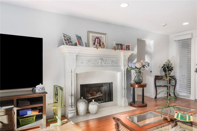 living room featuring light hardwood / wood-style flooring