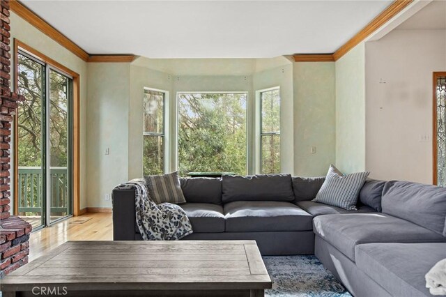 living room with crown molding and light hardwood / wood-style floors