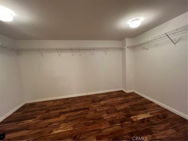 spacious closet featuring dark hardwood / wood-style flooring