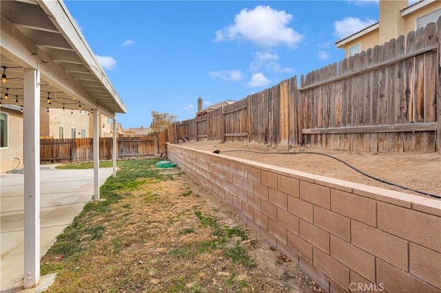 view of yard featuring a patio