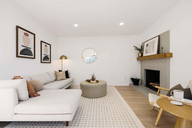 living room featuring hardwood / wood-style floors