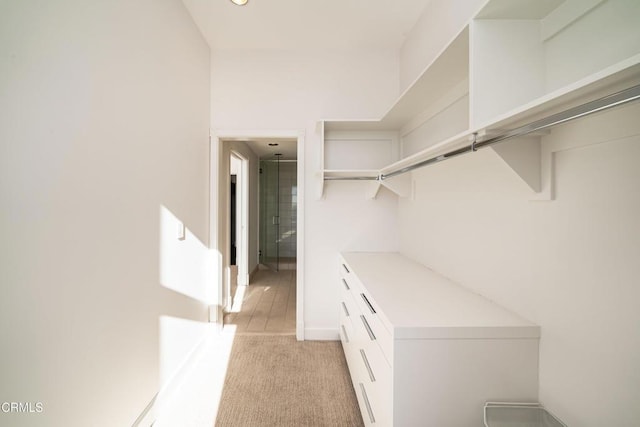 spacious closet featuring light colored carpet