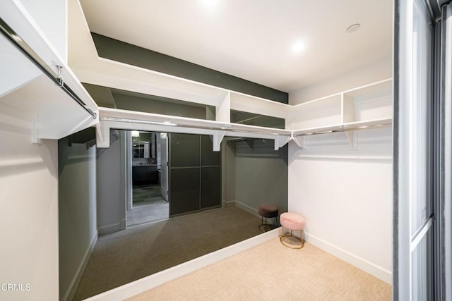 spacious closet with carpet