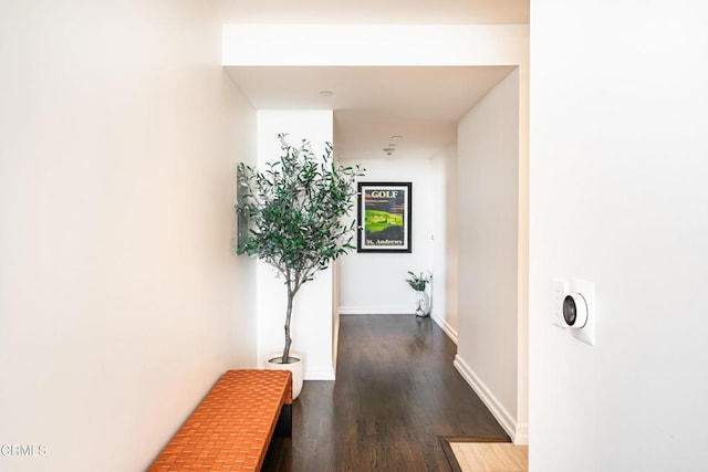 hall with dark hardwood / wood-style floors