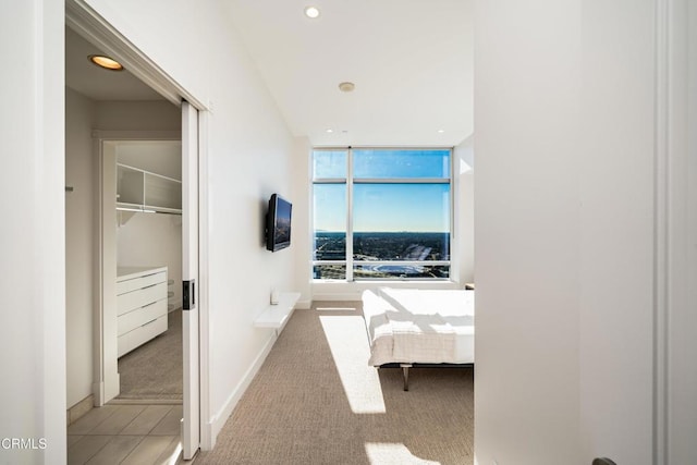 unfurnished bedroom with light colored carpet