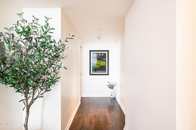 corridor featuring dark wood-type flooring