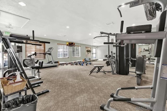 workout area featuring carpet floors