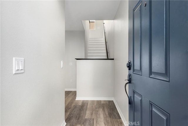 entryway featuring wood-type flooring