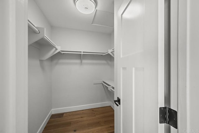 walk in closet featuring hardwood / wood-style floors