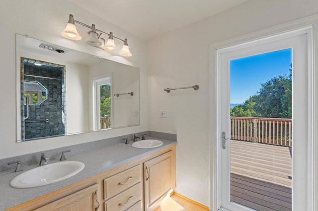 bathroom featuring hardwood / wood-style floors and vanity