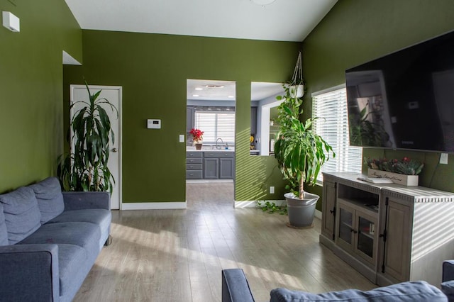 living room featuring sink and light hardwood / wood-style flooring