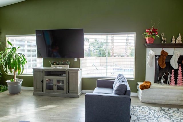 living room featuring light hardwood / wood-style floors