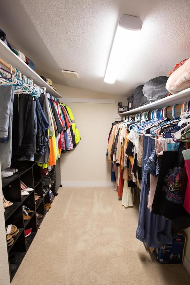 spacious closet featuring carpet