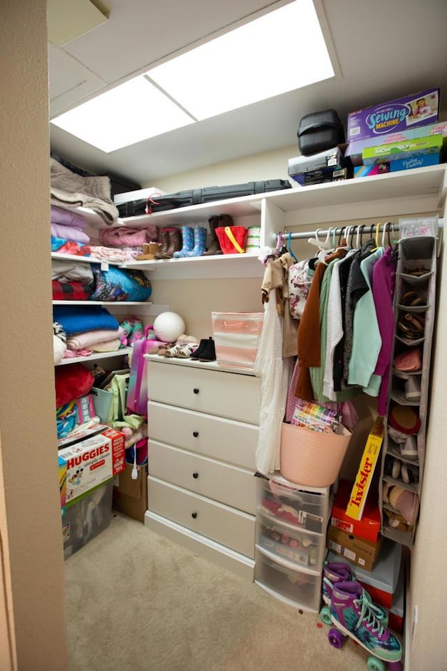 spacious closet with light colored carpet