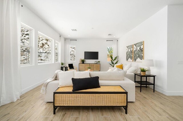 living room featuring light hardwood / wood-style floors