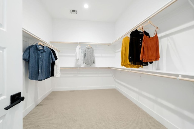 walk in closet featuring carpet floors