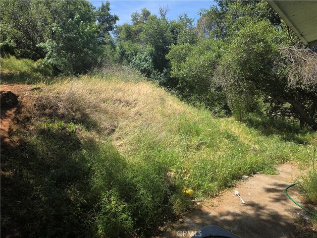 3445 Garfield Ave, Clearlake, CA 95422 - view of undeveloped land