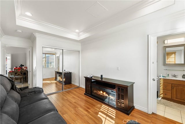 living room with ornamental molding, light hardwood / wood-style flooring, and a tray ceiling