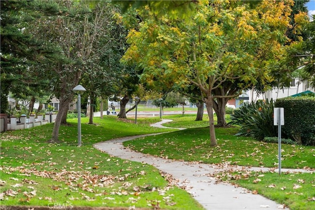 view of community with a lawn