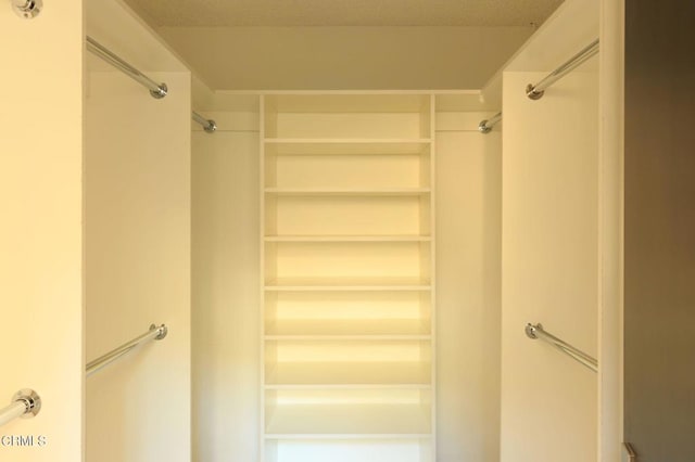 view of walk in closet