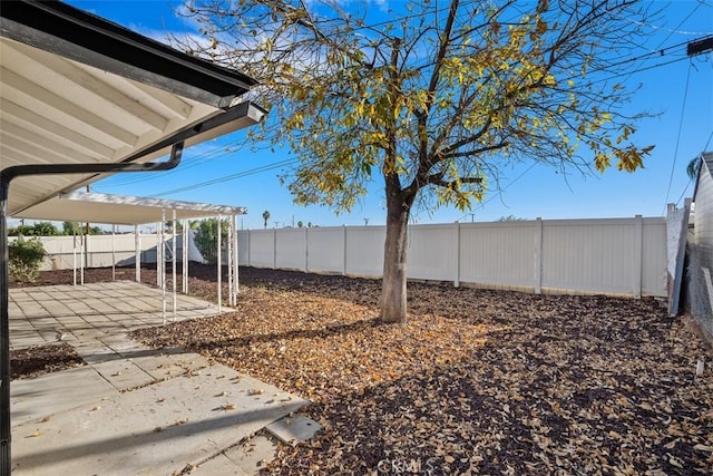 view of yard featuring a patio area