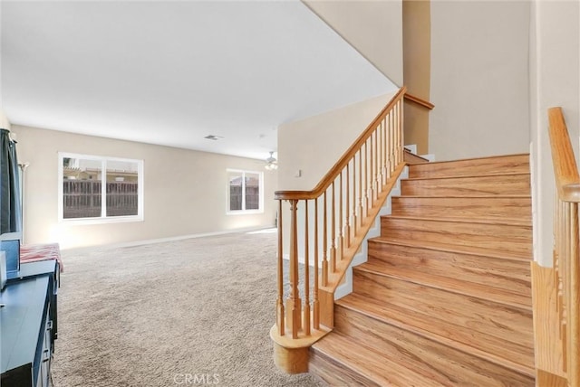 stairway featuring carpet flooring