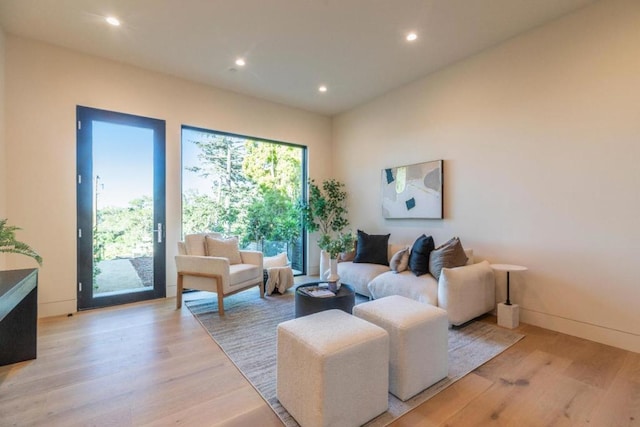 living room featuring light hardwood / wood-style flooring