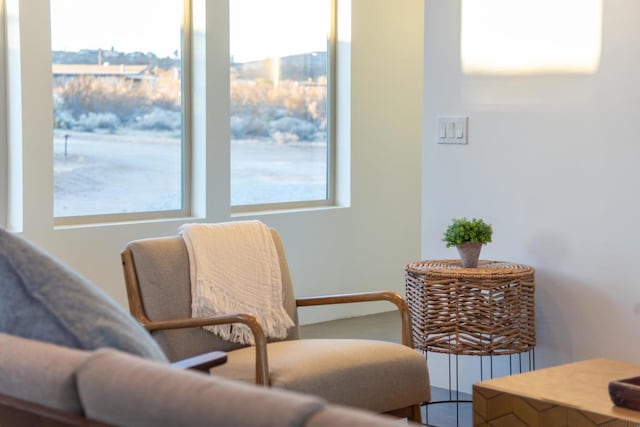 sitting room featuring plenty of natural light