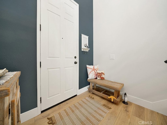 foyer entrance featuring wood-type flooring