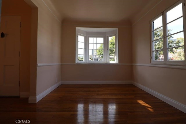 spare room with dark hardwood / wood-style floors and a healthy amount of sunlight