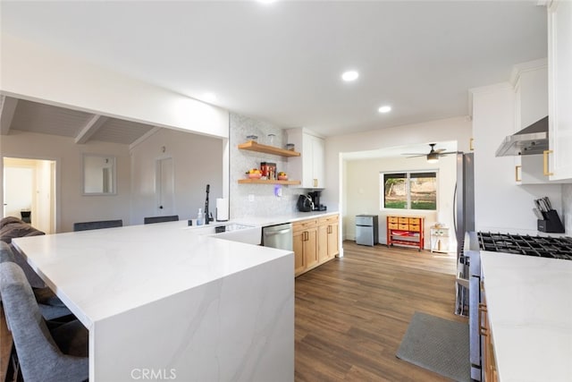 kitchen with kitchen peninsula, ventilation hood, stainless steel appliances, dark wood-type flooring, and sink