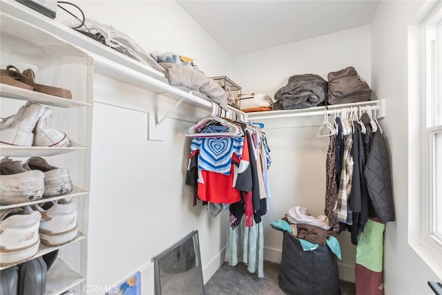 spacious closet featuring carpet