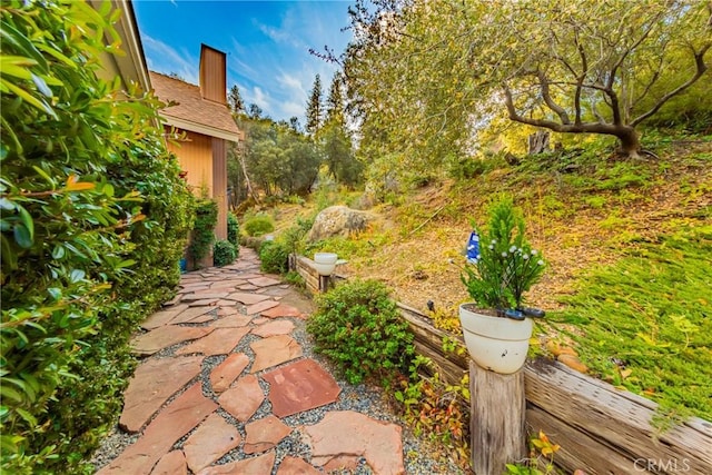 view of yard with a patio