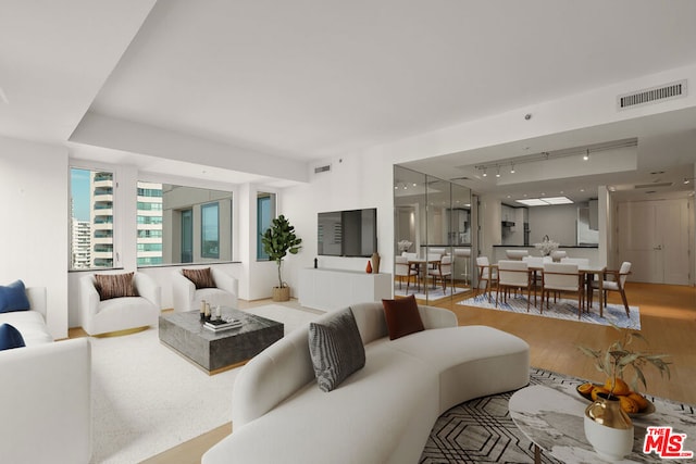 living room featuring rail lighting and hardwood / wood-style flooring